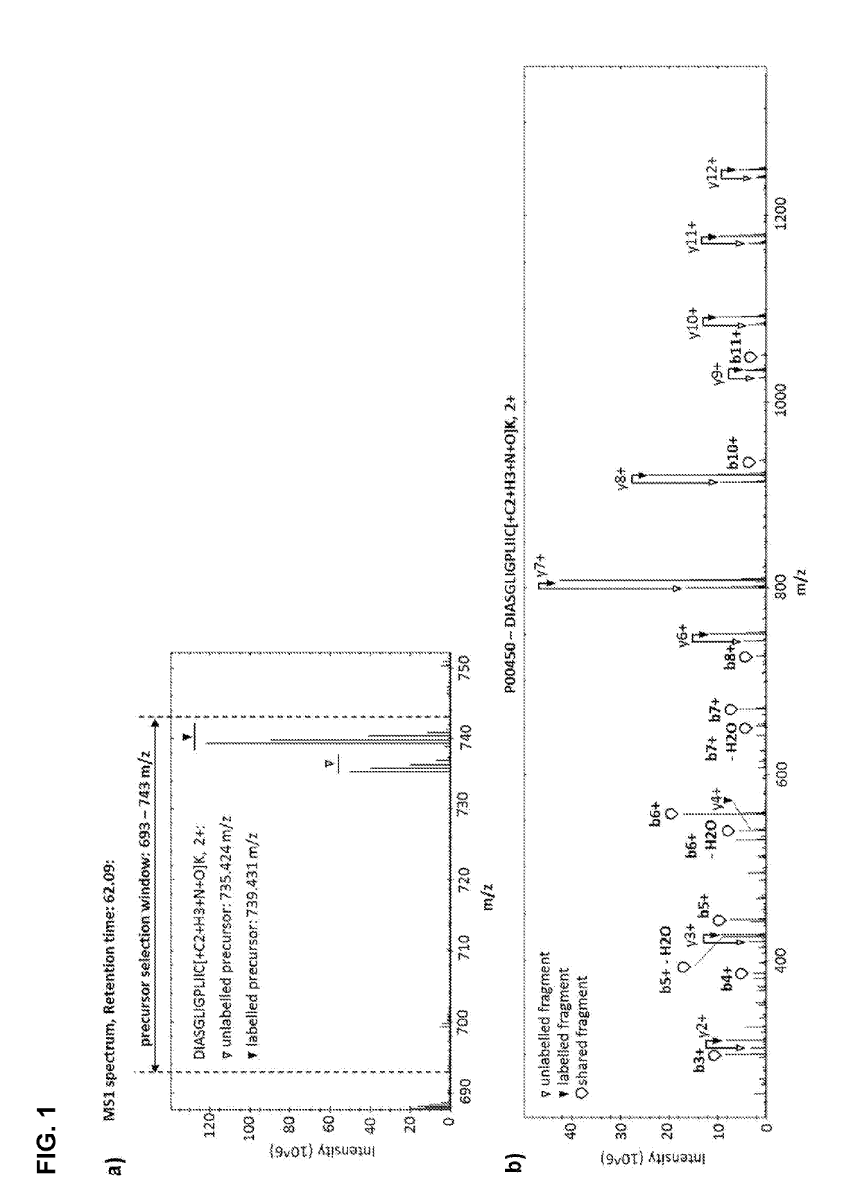 Labelled compounds and methods for mass spectrometry-based quantification