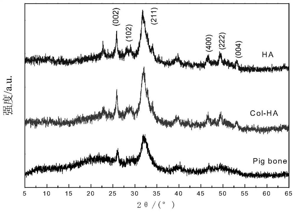 A biomimetic biomineralized artificial bone repair material and its preparation method and application