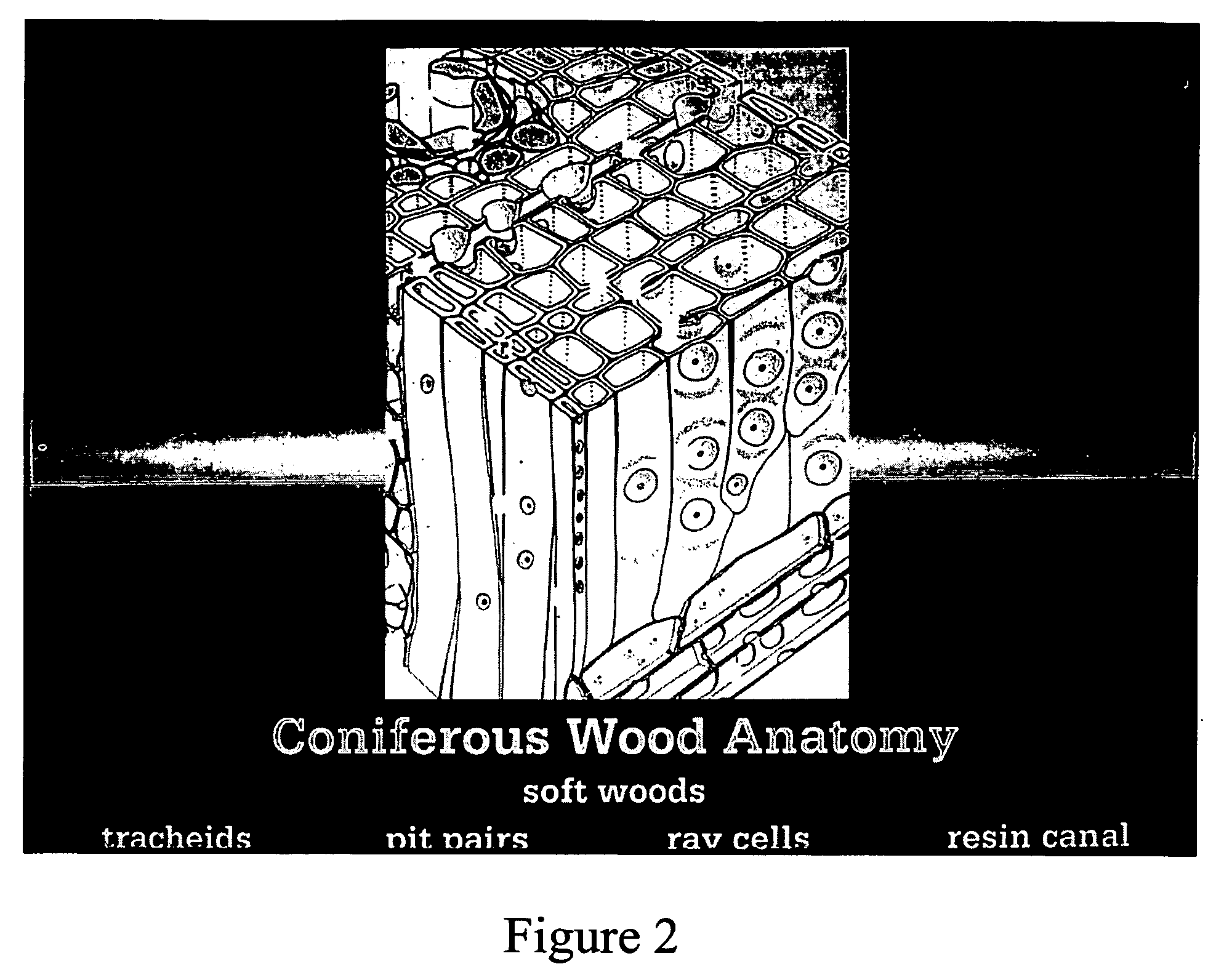 Micronized wood preservative formulations