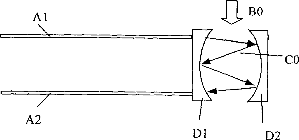 Microsystem optical fiber gas sensor, sensing system and sensing method