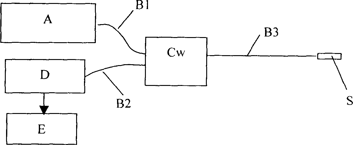 Microsystem optical fiber gas sensor, sensing system and sensing method