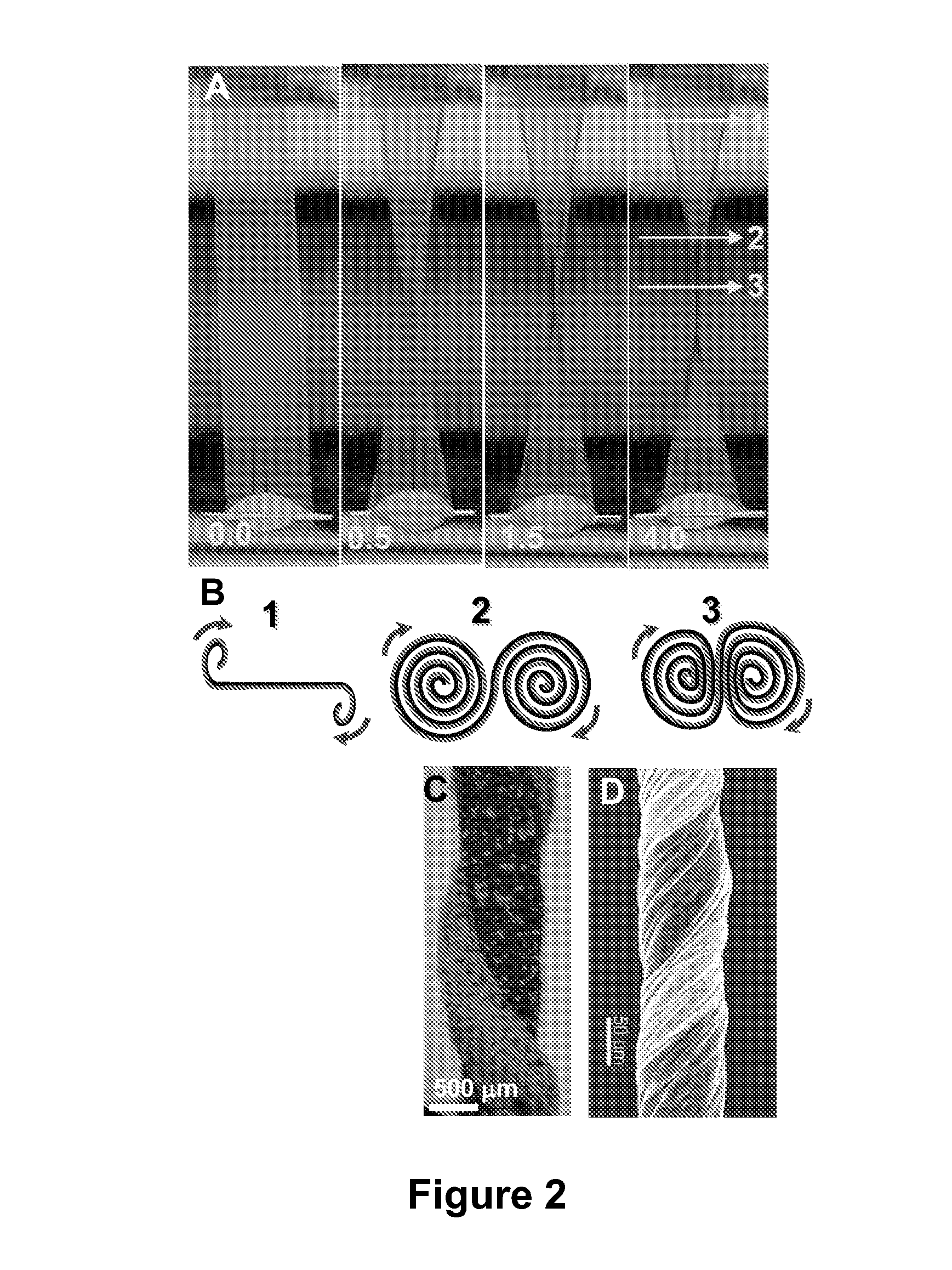 Fabrication of Biscrolled Fiber Using Carbon Nanotube Sheet