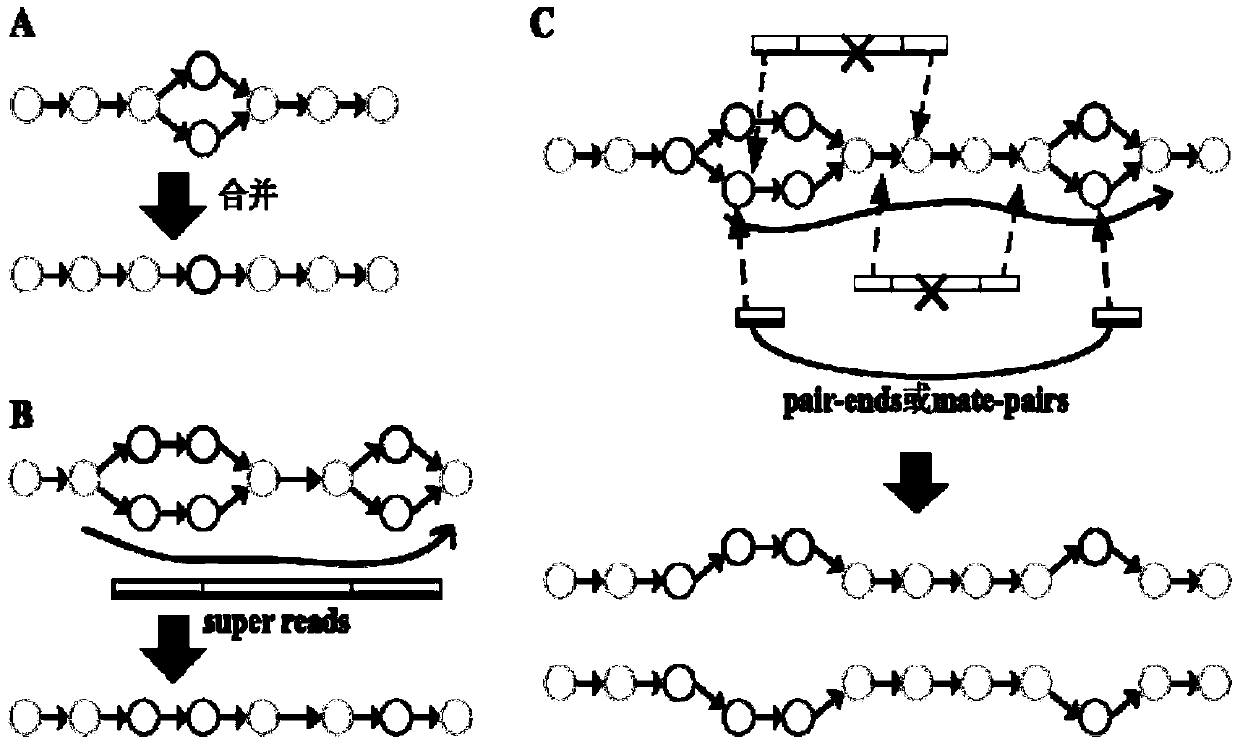 Genome de novo assembly method based on high-throughput sequencing data