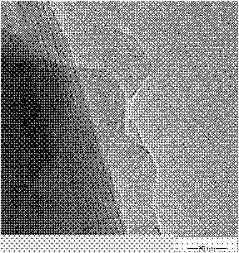 Water-based anticorrosive coating of nano montmorillonite and polypyrrole complex and preparation method thereof