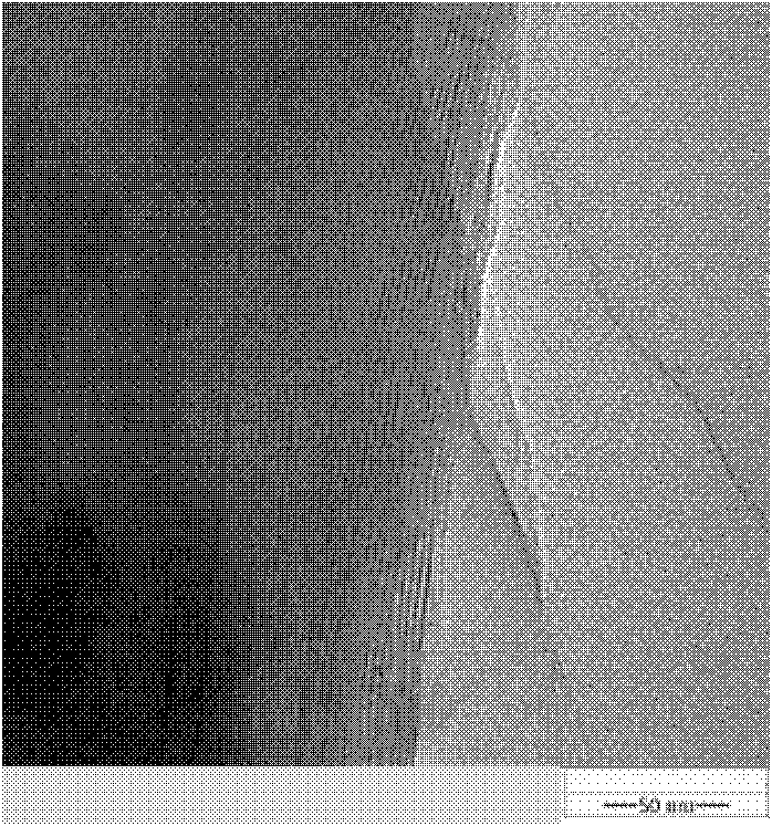 Water-based anticorrosive coating of nano montmorillonite and polypyrrole complex and preparation method thereof