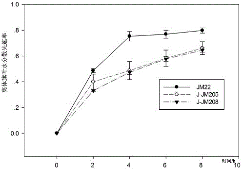 Breeding method for new varieties of drought-resistant wheat