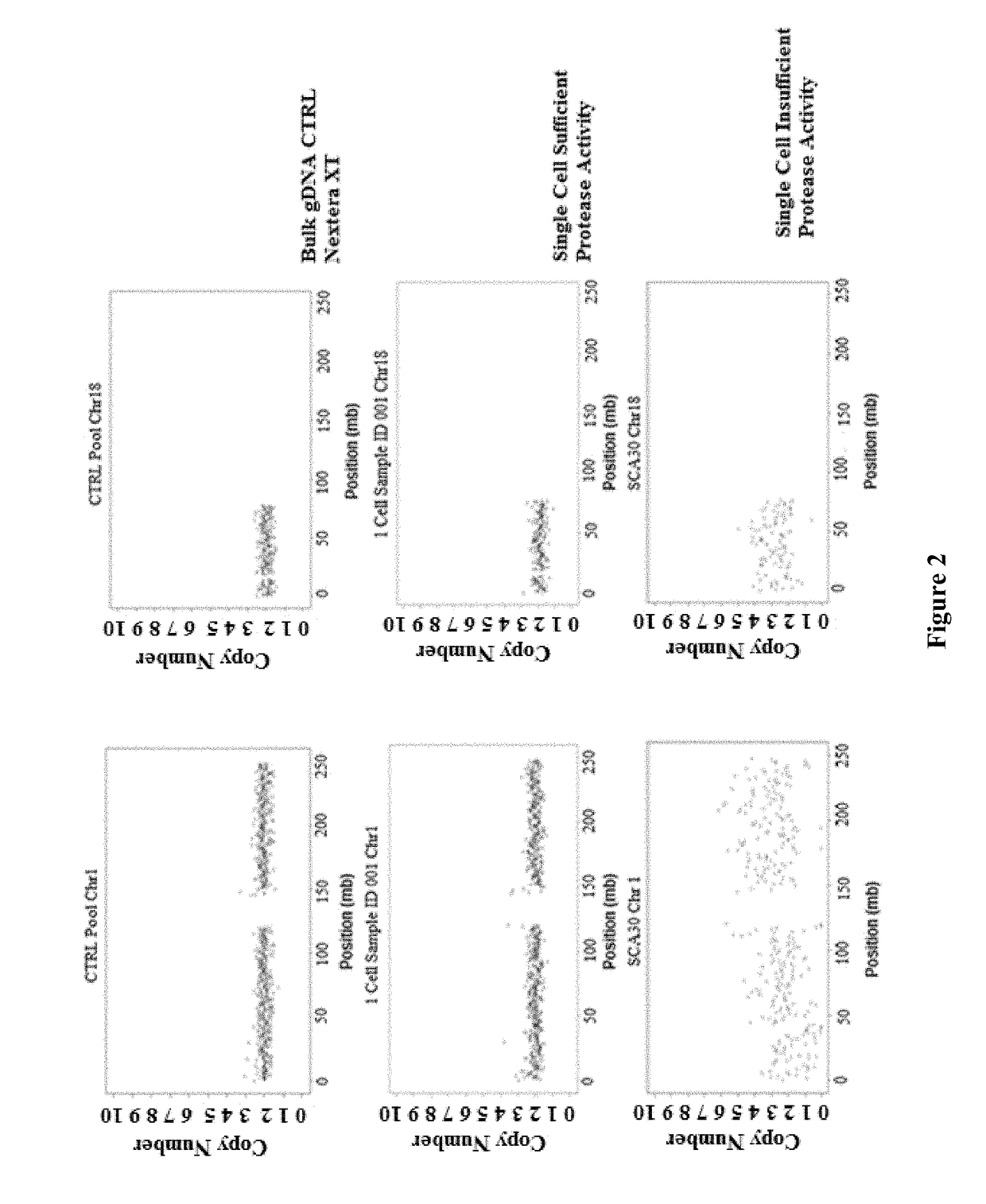 Library preparation of tagged nucleic acid