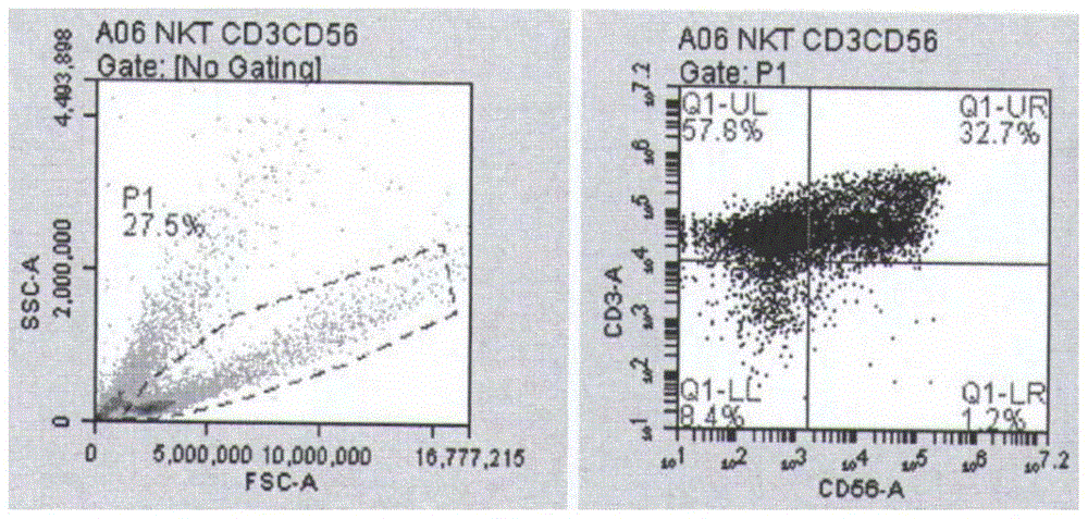 A kind of serum-free cryopreservation medium and cryopreservation method for peripheral blood mononuclear cells