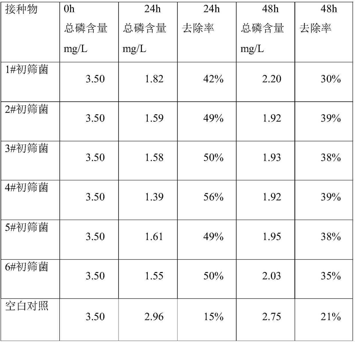 Acinetobacter CL04 and an application thereof in village sewage phosphorus-removing processing