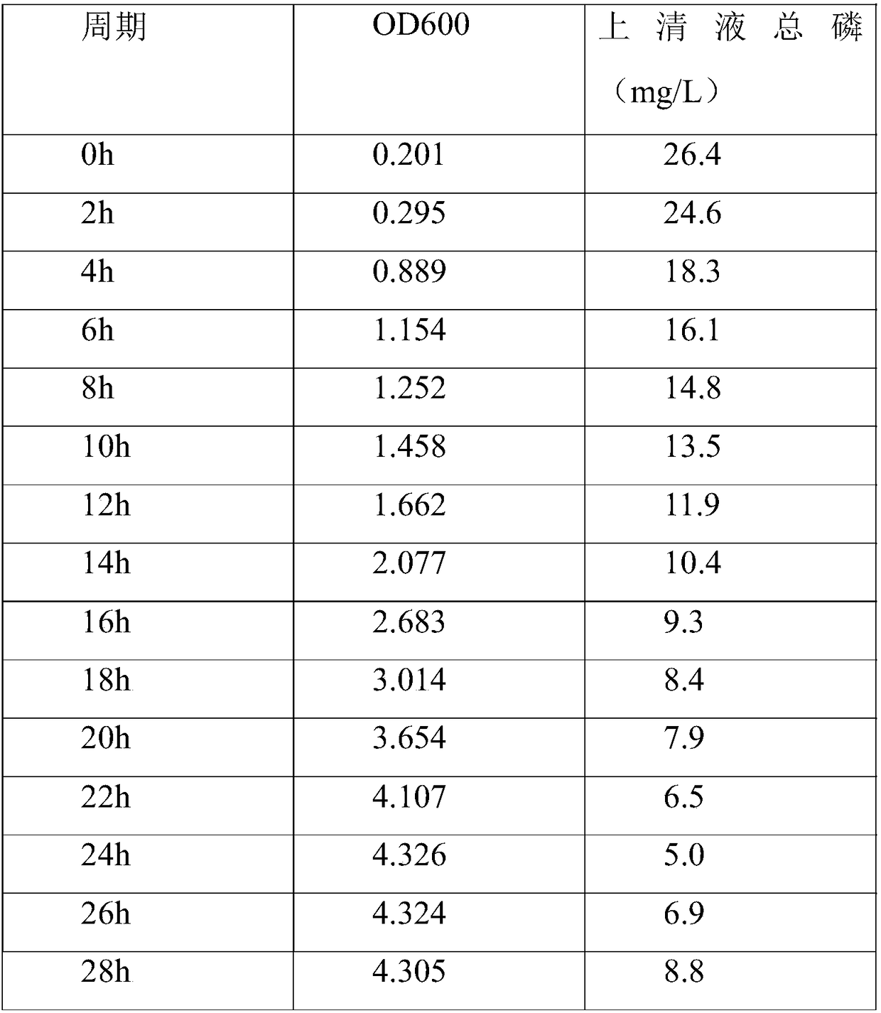 Acinetobacter CL04 and an application thereof in village sewage phosphorus-removing processing