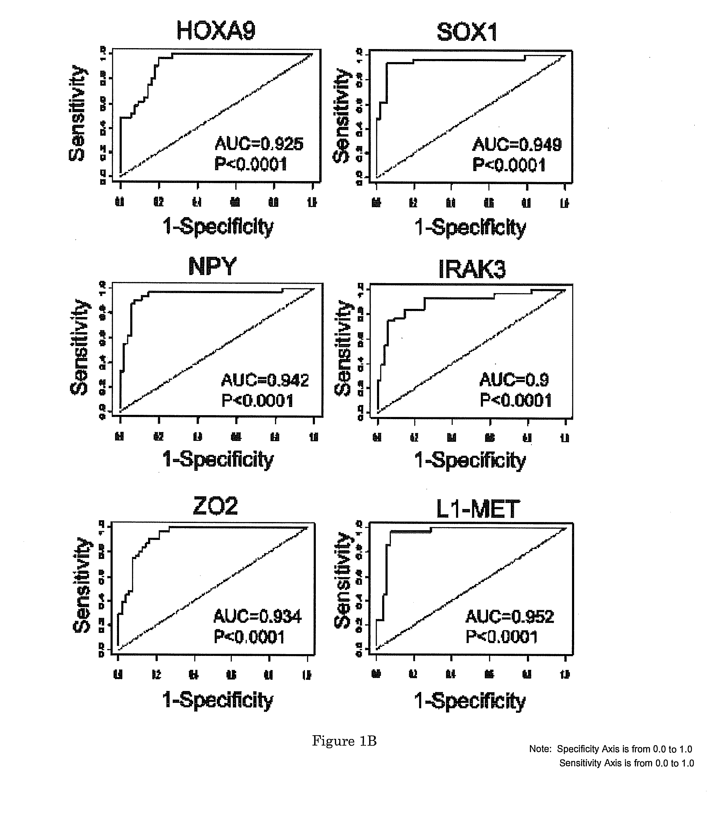 DNA Methylation Biomarkers for Bladder Cancer