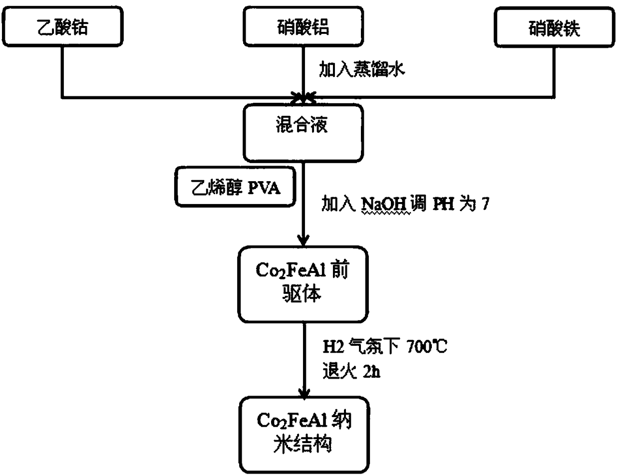 Autoclave liquid phase reduction preparation method for shape-controllable CO2FeAl nanometer structure