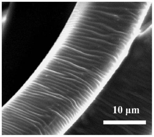 Surface wrinkled fiber type material and preparing method thereof