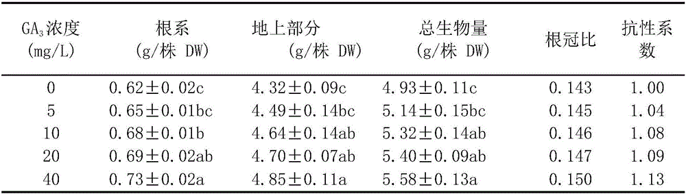 Method for remarkably enhancing capacity of starwort for restoring orchard cadmium-polluted soil