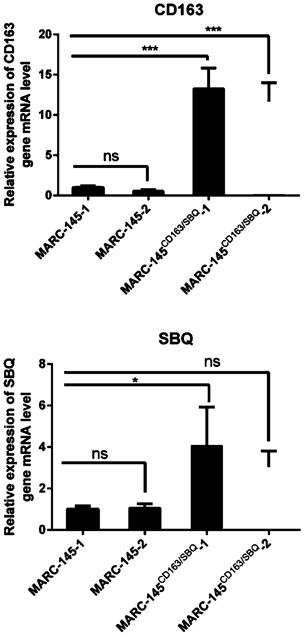 Construction and application of Marc-145 stable cell strain