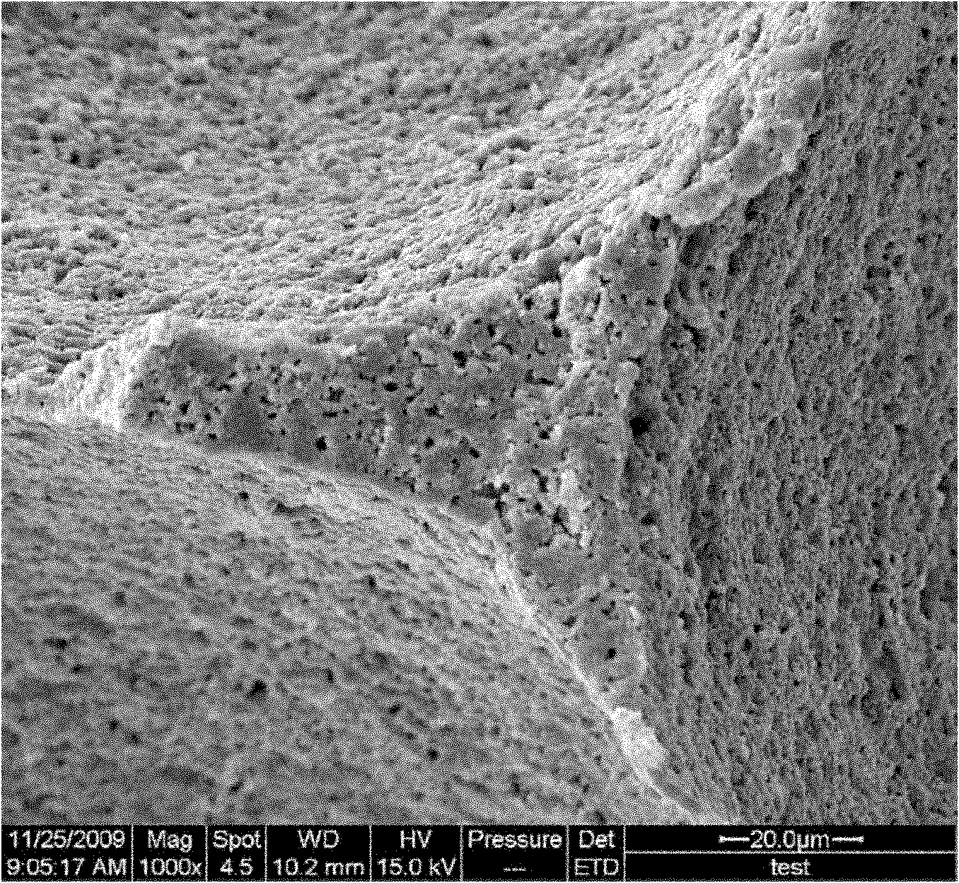 Protein foaming method for preparing porous ceramics composite material