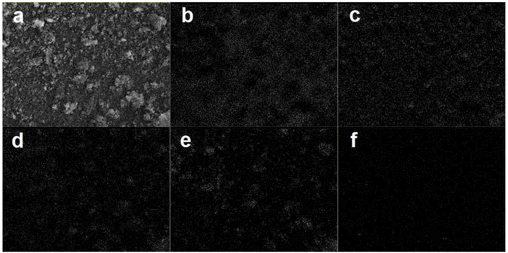 Magnesium modified biomass and application thereof