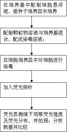 Method for detecting difference of cell toxicity between atmospheric nano particles and industrial nano particles