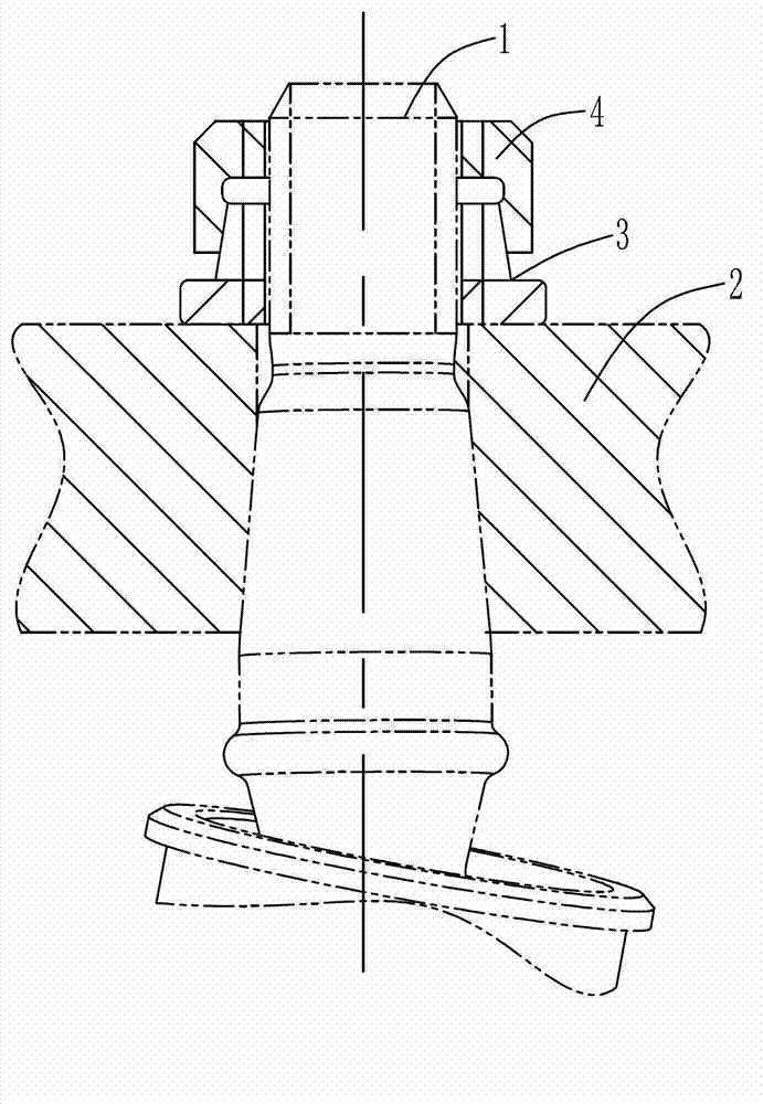 Bolt locking and looseness-preventing device