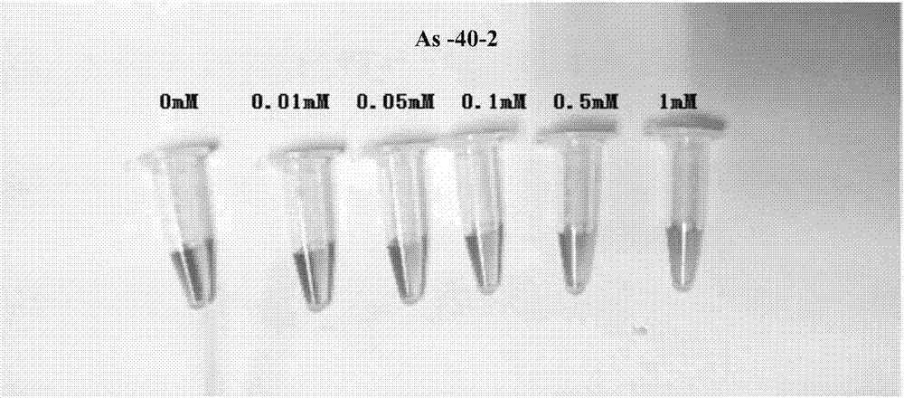 Method and application of quickly screening arsenic ion aptamers