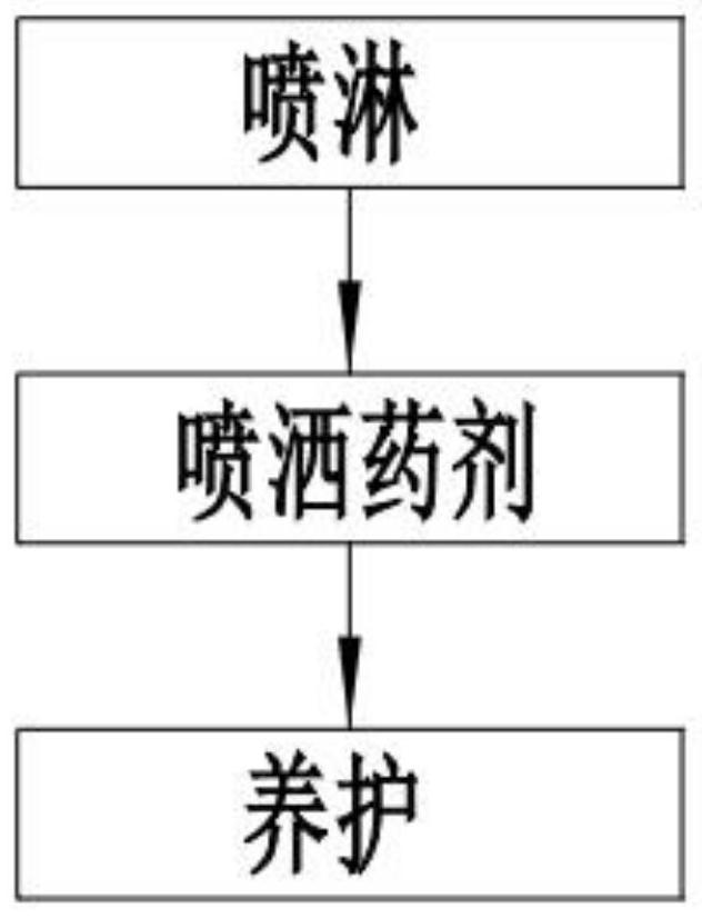 Novel chrysanthemum charcoal processing technology