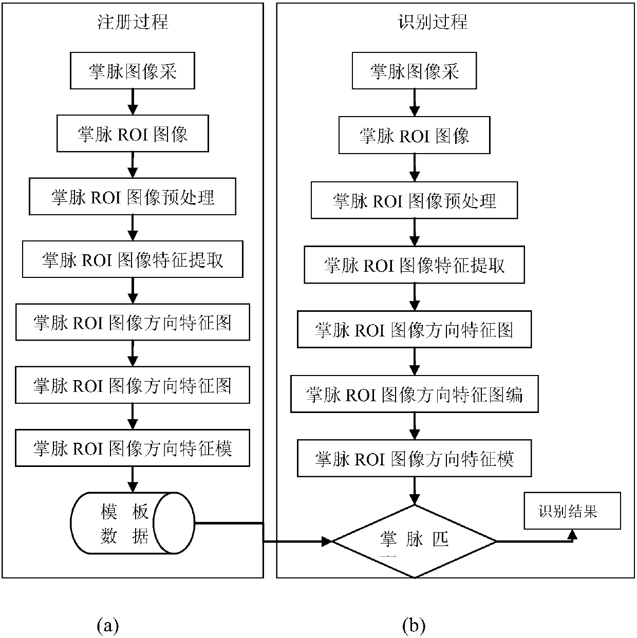 Recognition method after feature extraction of human vein image