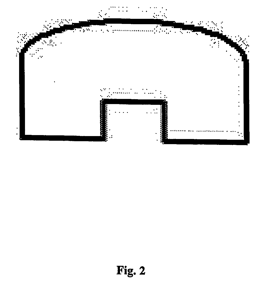 Process and apparatus for producing metal nanoparticles