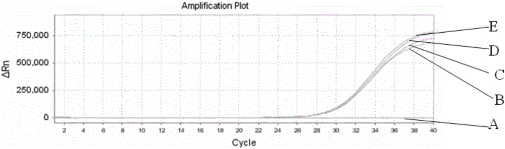 Normal-temperature stable PCR premixed solution