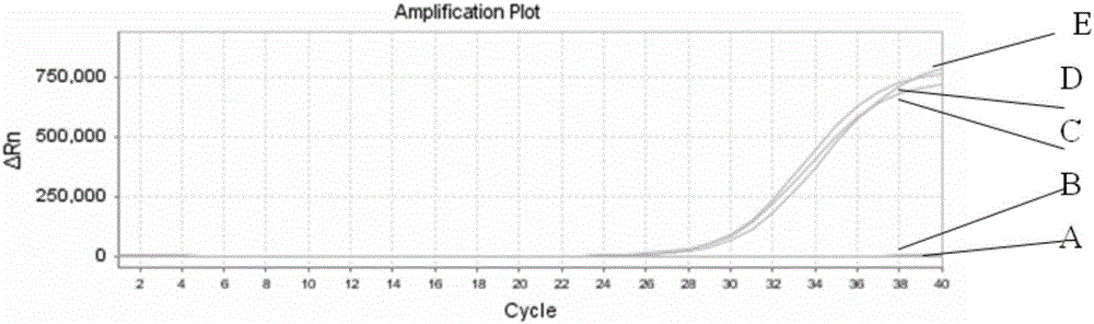 Normal-temperature stable PCR premixed solution