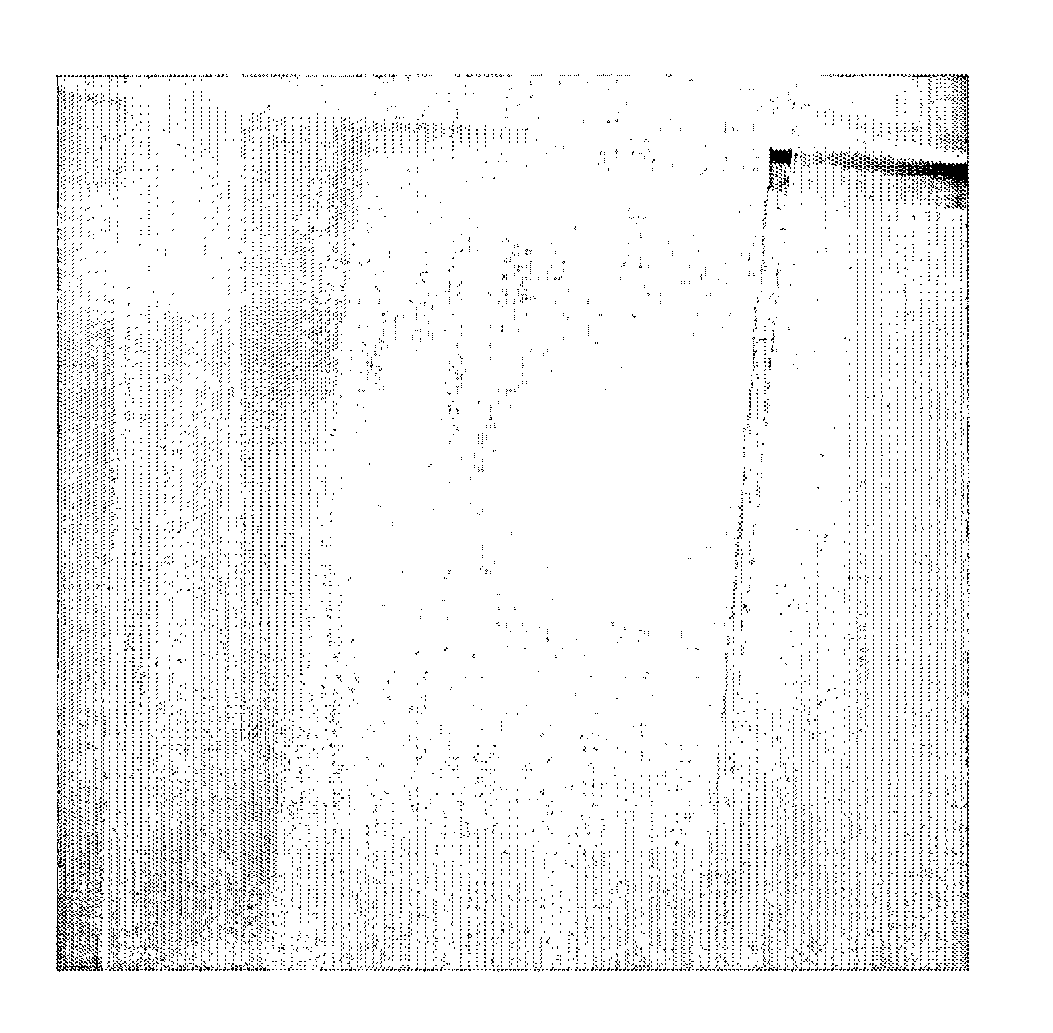 Acrylic pressure sensitive adhesive compositions having plasticizer