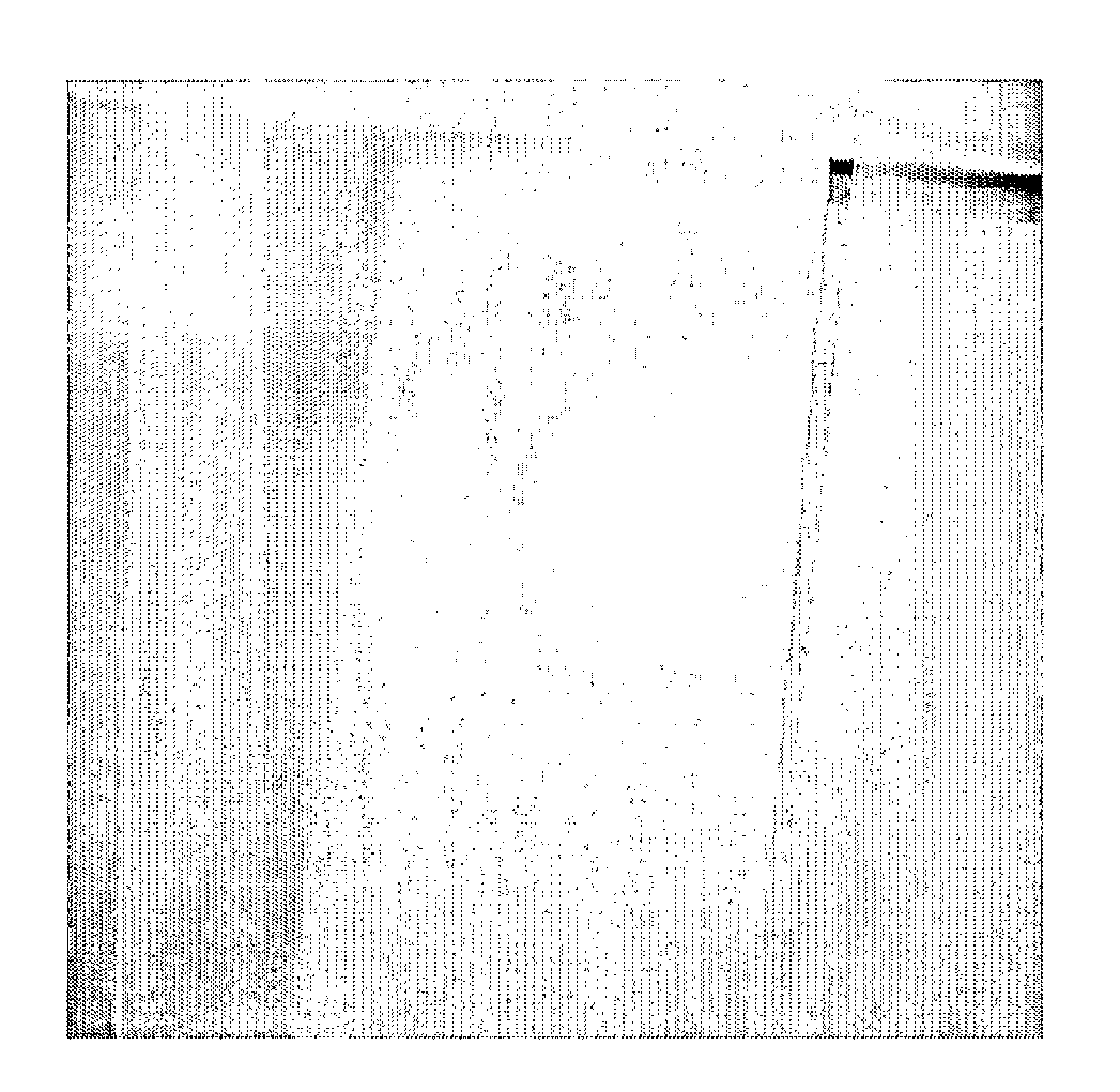 Acrylic pressure sensitive adhesive compositions having plasticizer