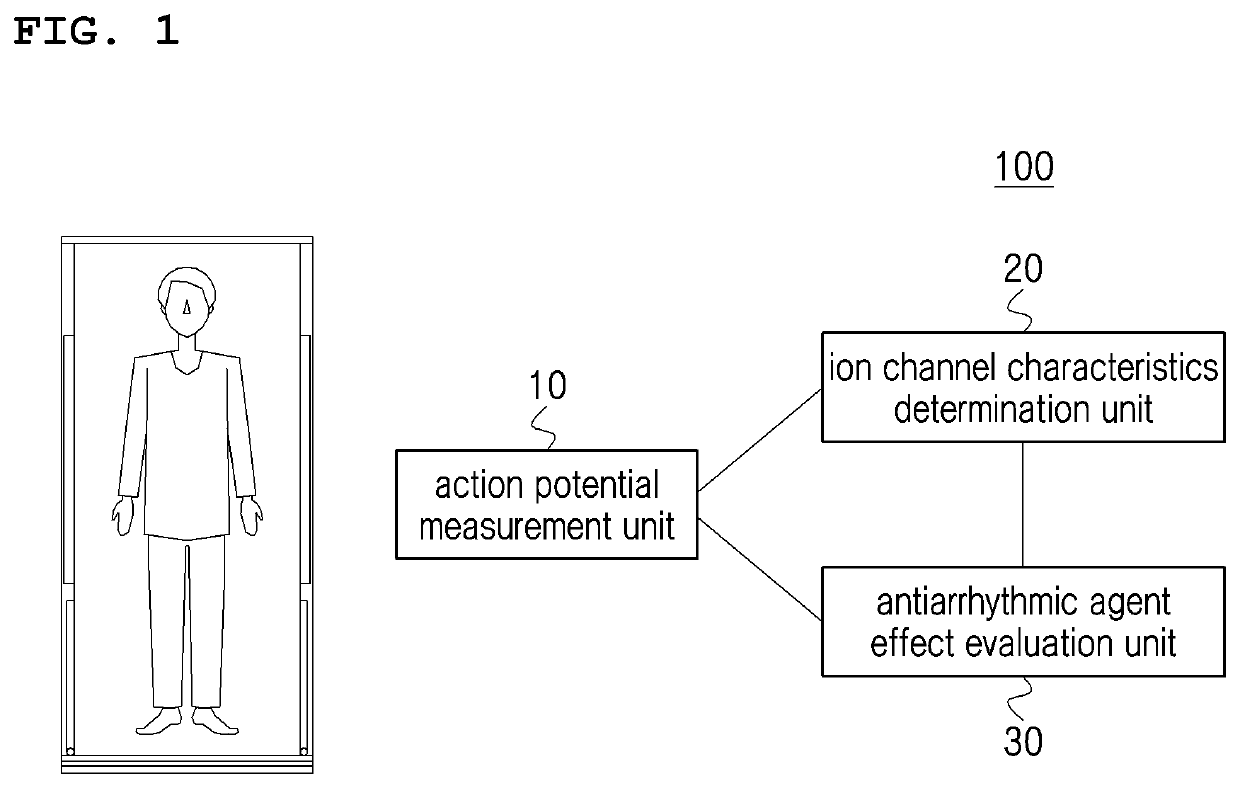 System and method for evaluating effects of antiarrhythmic agent