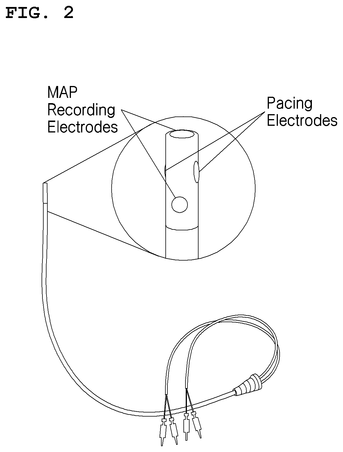 System and method for evaluating effects of antiarrhythmic agent