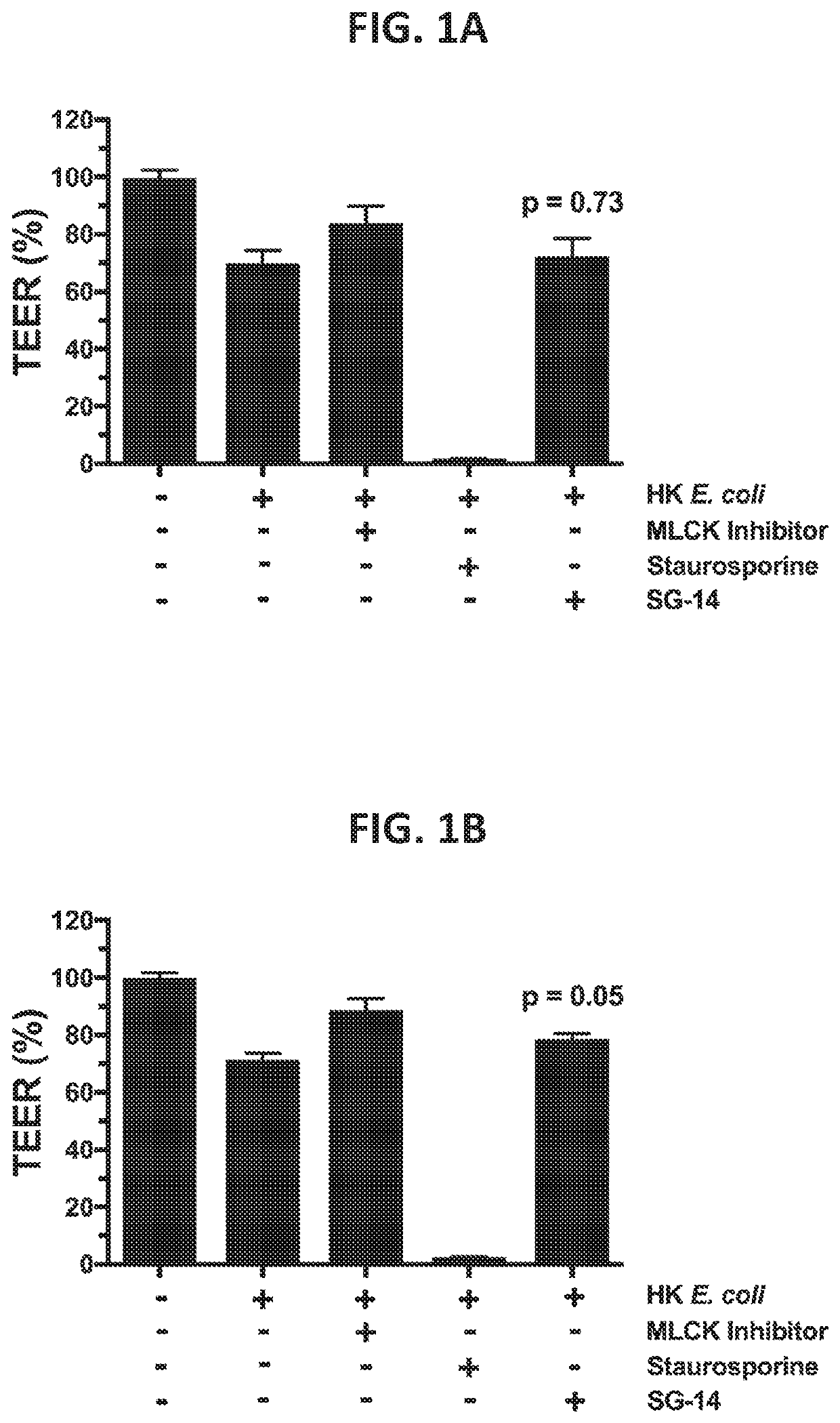 Proteins for the treatment of epithelial barrier function disorders