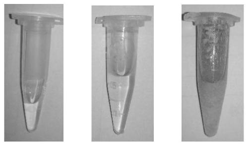 An auxiliary agent for inhibiting the diffusion of tannin in wood and its application method