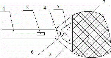 Flashlight with adjustable optical domain