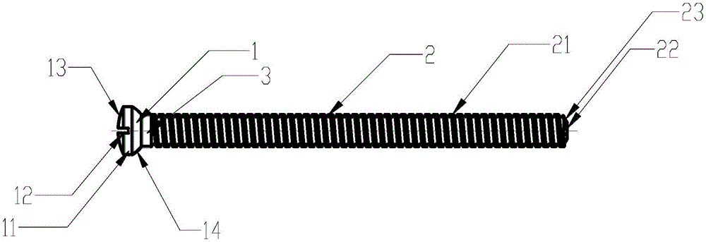 High-strength absorbable bone screw for internal fracture fixation