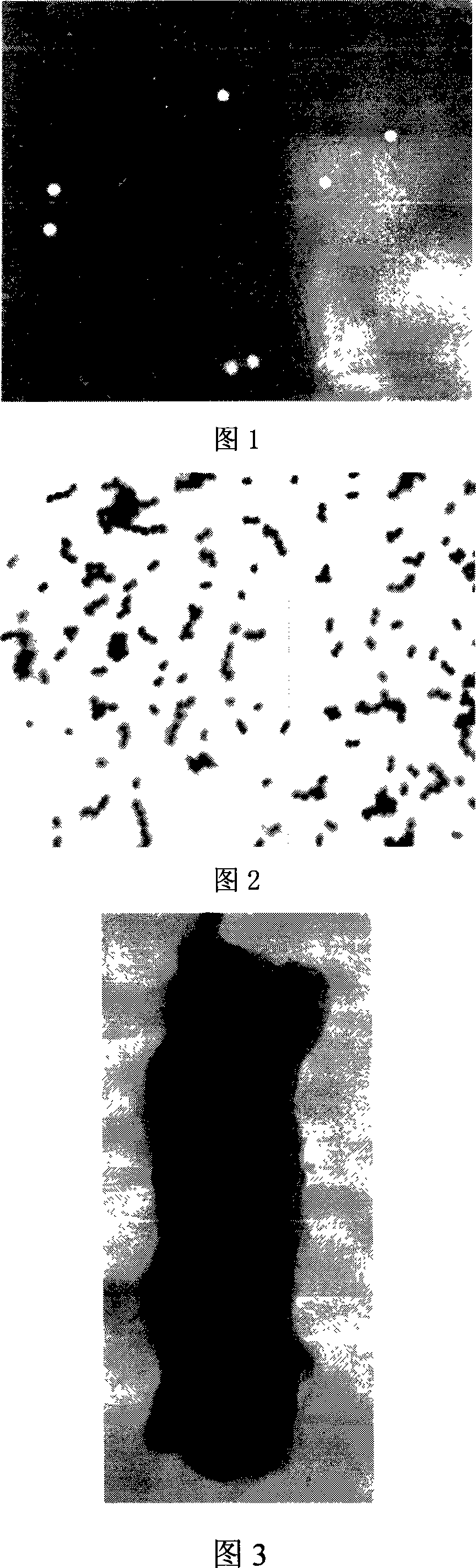 FQ15 enterococcus faecalis and method for producing somatotrophic feed additive with the bacteria