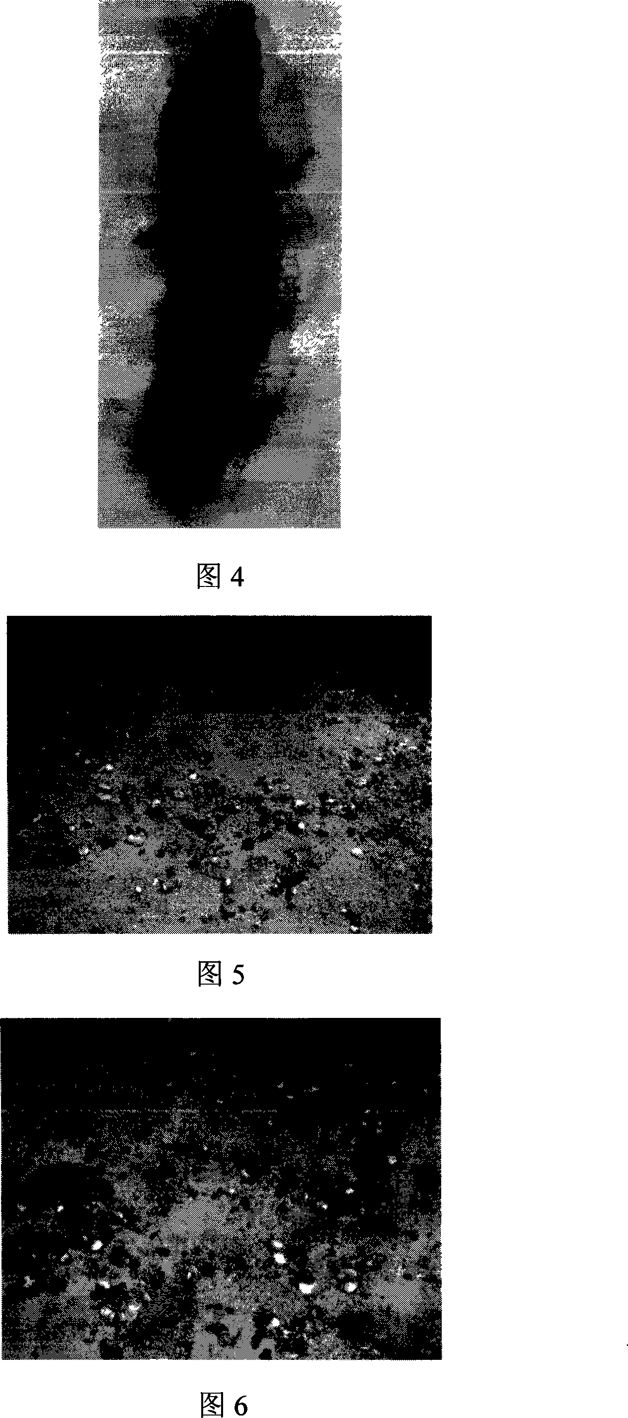 FQ15 enterococcus faecalis and method for producing somatotrophic feed additive with the bacteria