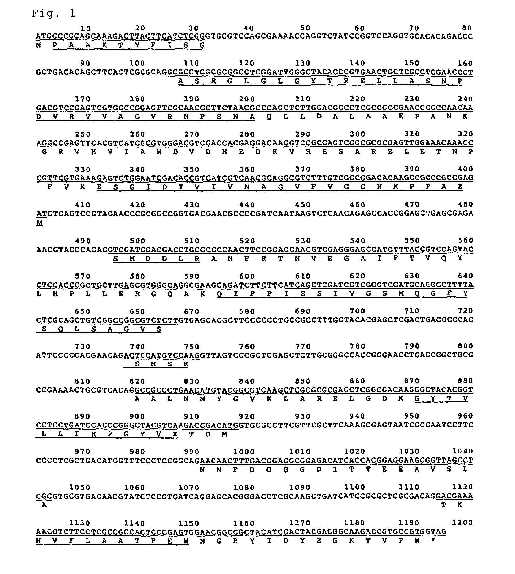 Carbonyl reductase, gene thereof and use of the same