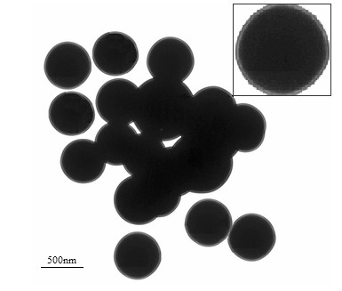 Method for preparing magnetic molecule mark polymer for detecting PDE-5 inhibitor