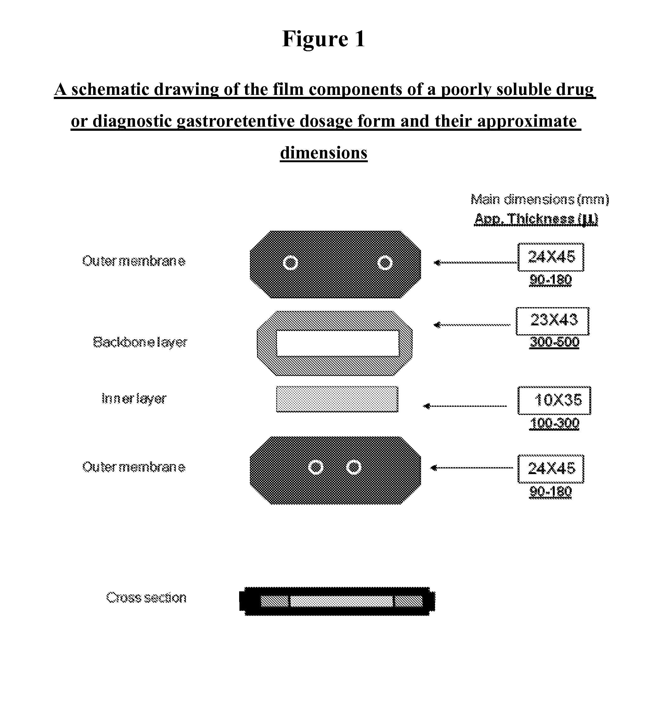 Novel gastroretentive dosage forms of poorly soluble drugs