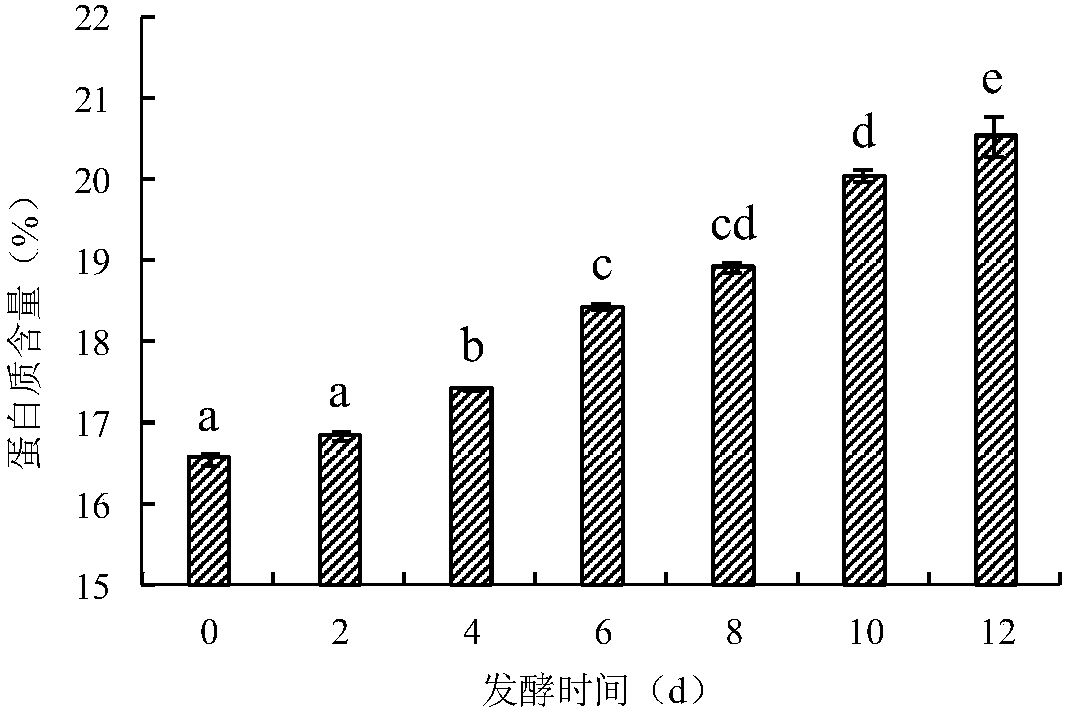 Method for solid fermentation of wheat bran with cordyceps militaris