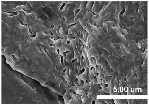 Preparation and Application of Polymer-Nanomolybdenum Disulfide Composite Hydrogel Based on Thermoreversible Diels-Alder Reaction