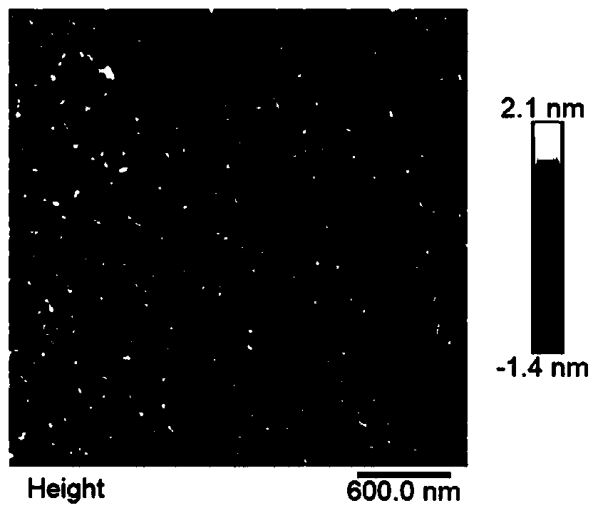 Copper nanoclusters synthesized by applying DNA nanoribbon template method, synthesis method and application of copper nanoclusters