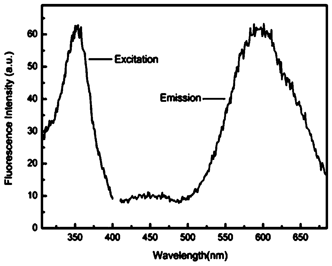 Copper nanoclusters synthesized by applying DNA nanoribbon template method, synthesis method and application of copper nanoclusters