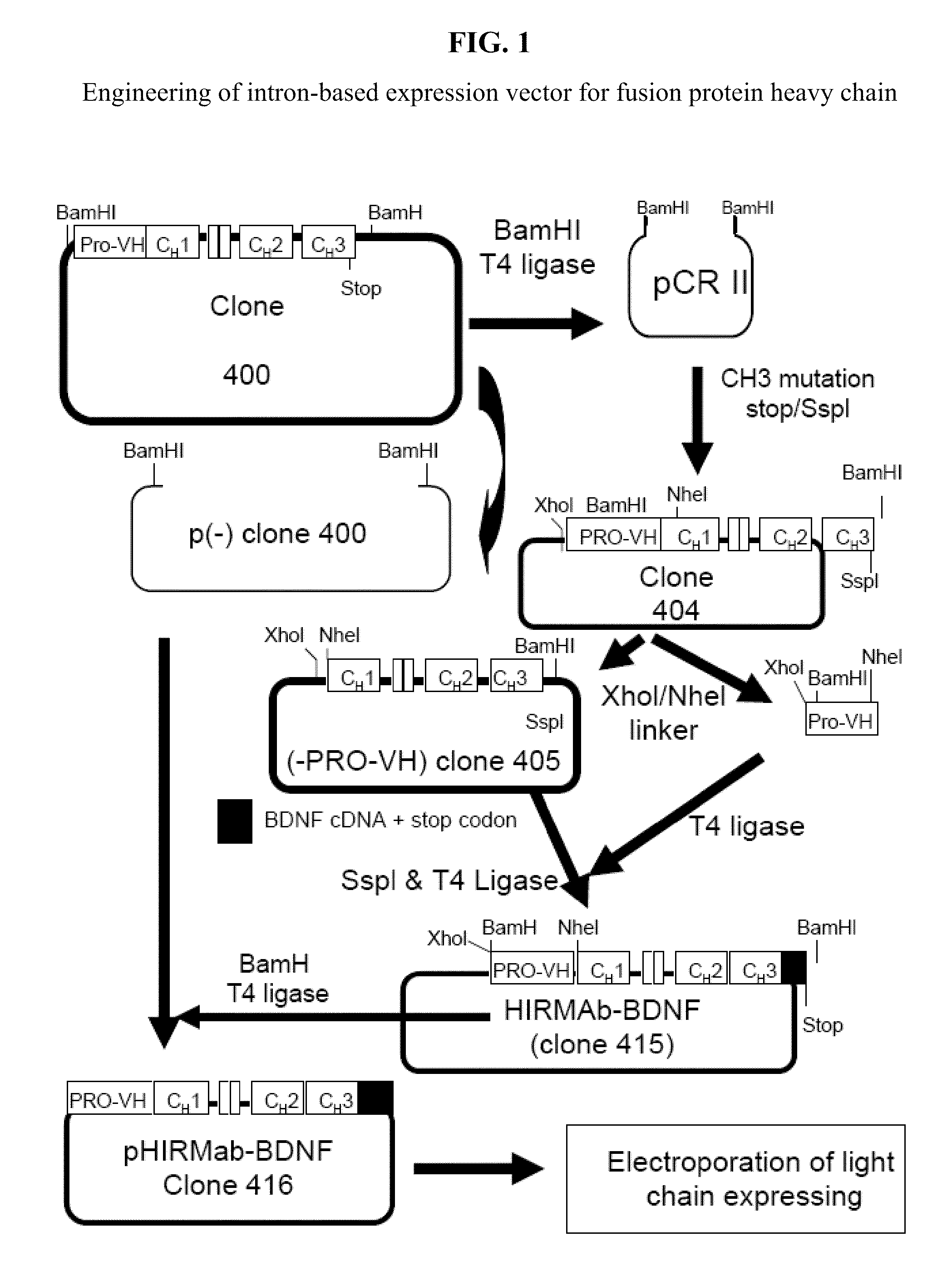 Fusion proteins for delivery of gdnf to the CNS