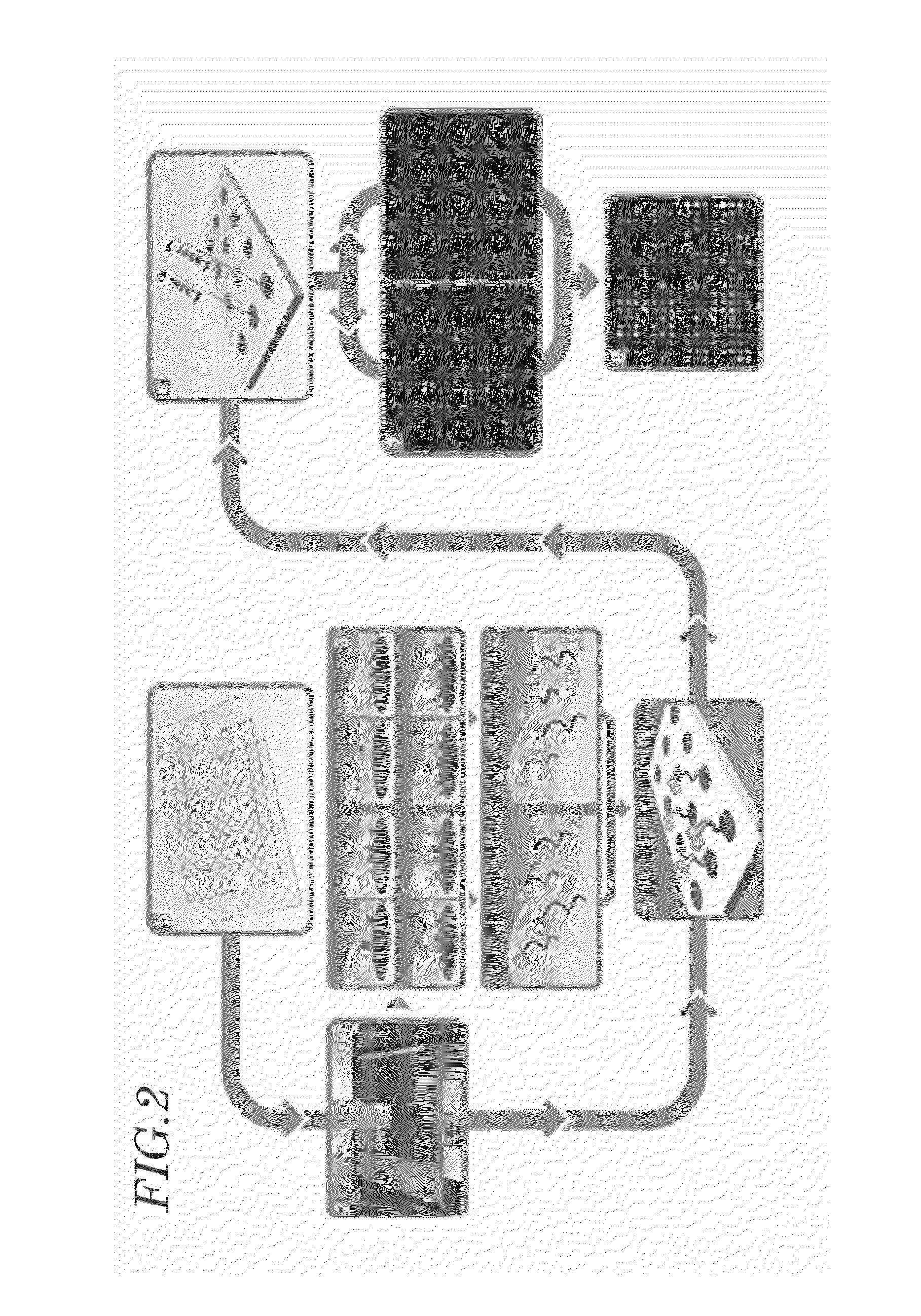 Nucleic acid chip for obtaining binding profile of single strand nucleic acid and unknown biomolecule, manufacturing method thereof and analysis method of unknown biomolecule using nucleic acid chip