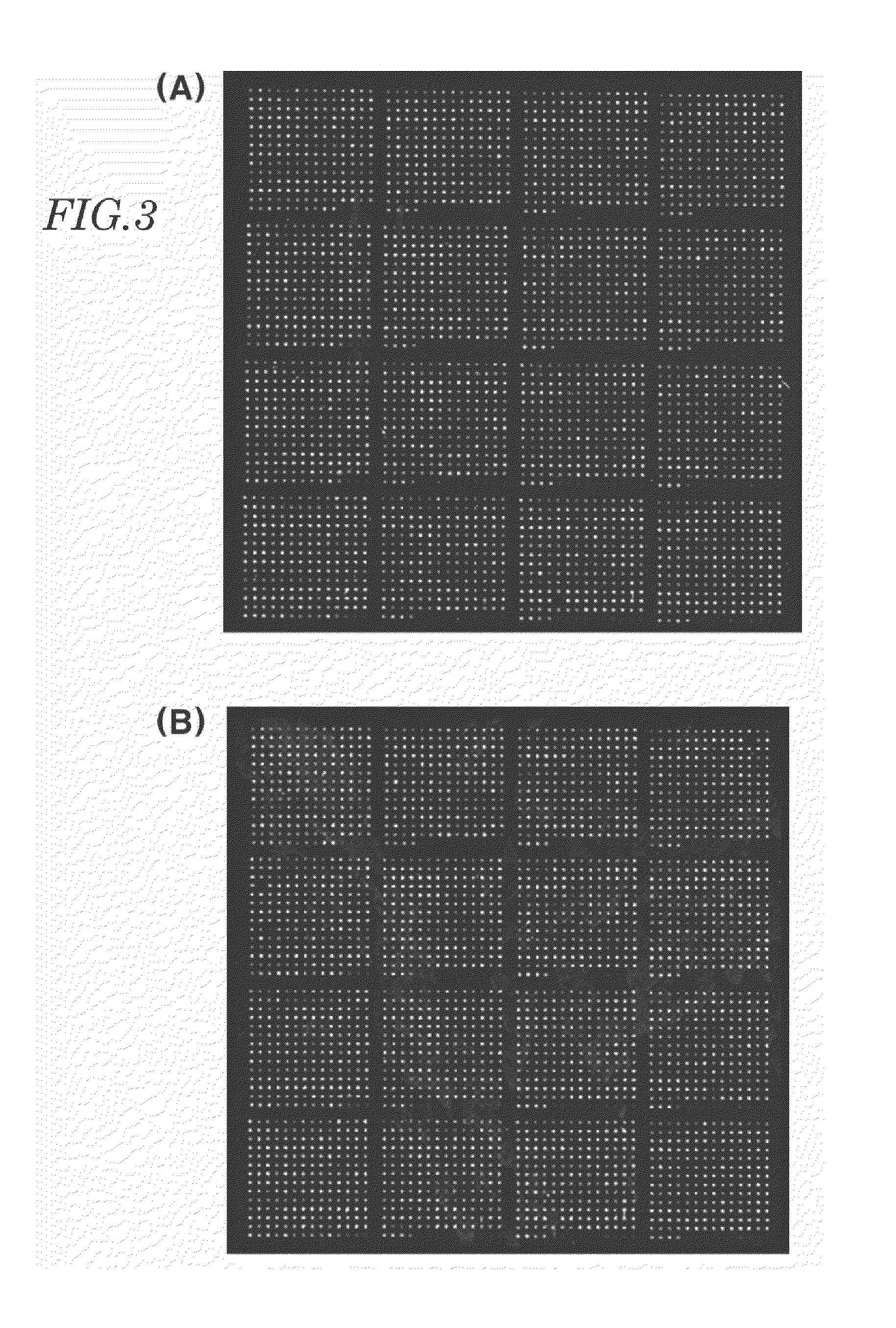 Nucleic acid chip for obtaining binding profile of single strand nucleic acid and unknown biomolecule, manufacturing method thereof and analysis method of unknown biomolecule using nucleic acid chip