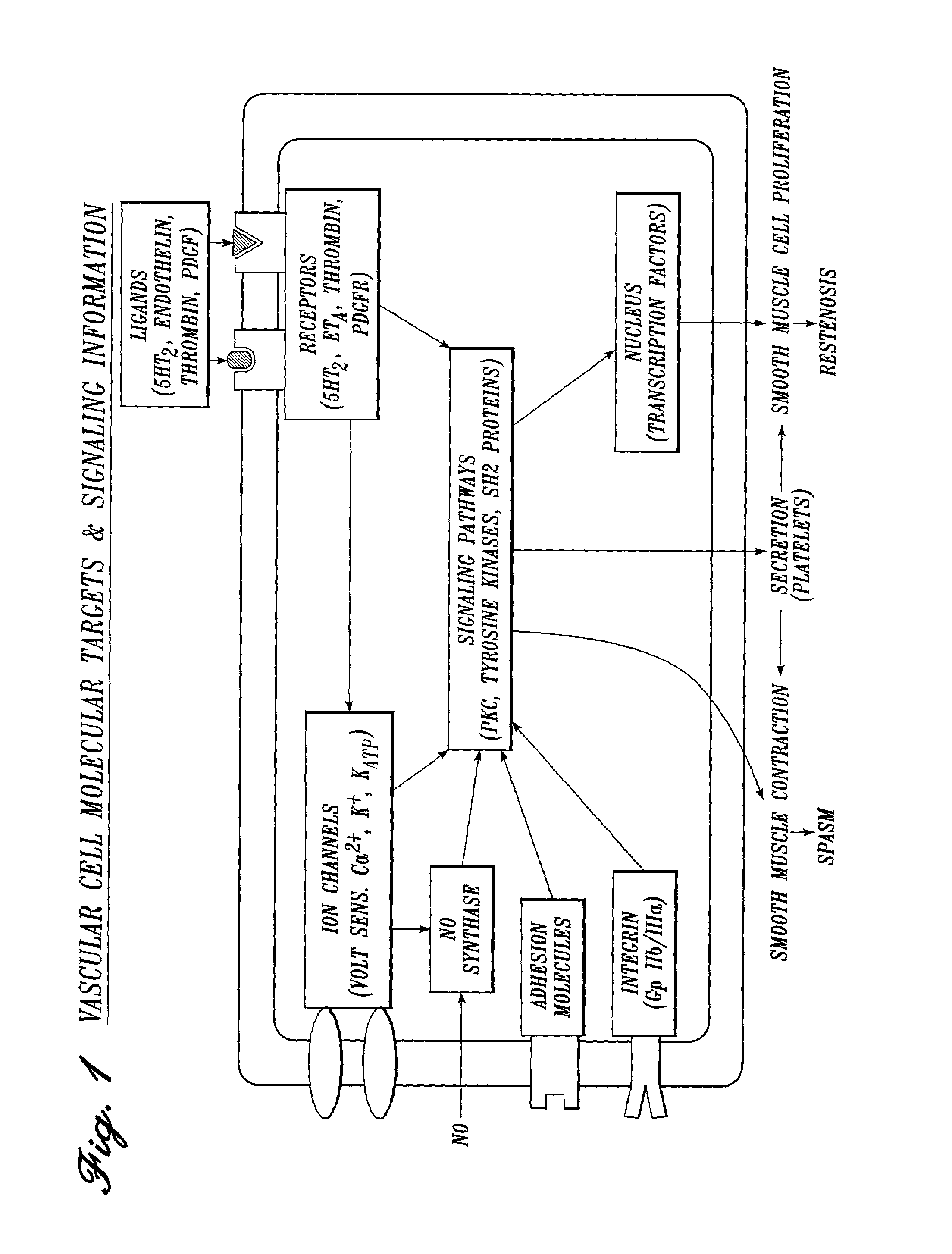 Method of inhibition of pain and inflammation during surgery comprising administration of soluble TNF receptors